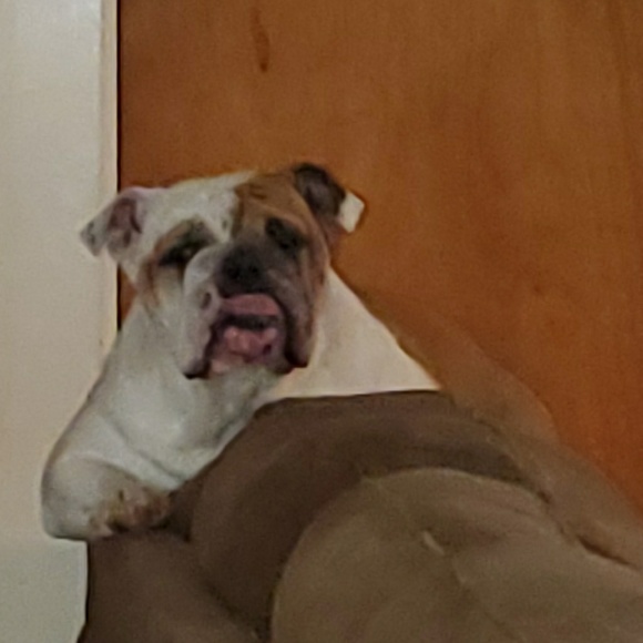 Meet your Posher, Debbie - Picture 1 of 1